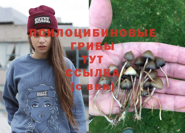 соль курить ск Михайлов