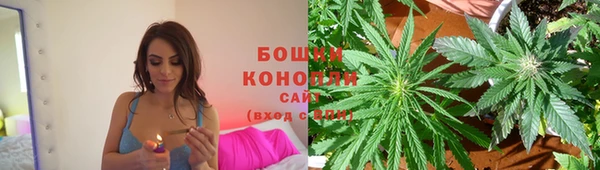 эйфоретик Михайловск