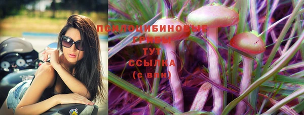 мет Медвежьегорск