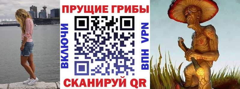 Псилоцибиновые грибы GOLDEN TEACHER Муром