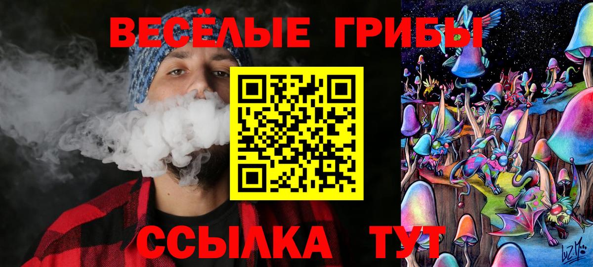 Псилоцибиновые грибы MAGIC MUSHROOMS Муром