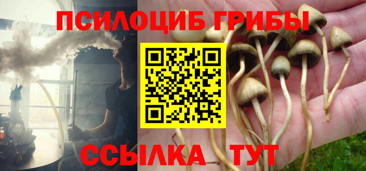 Галлюциногенные грибы мухоморы  закладка  Муром  Вход с VPN 
